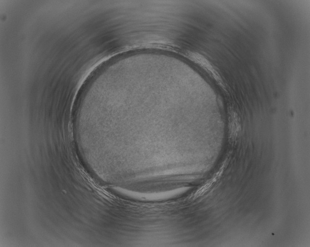 X0000067900924200605041614