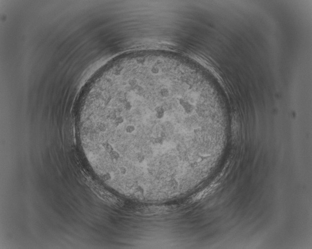 X0000067900925200605041614