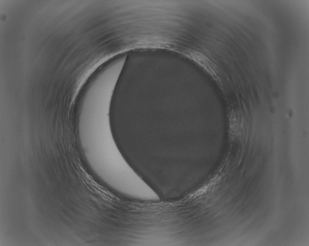 X0000067900926200605041614