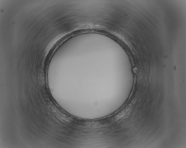 X0000067900927200605041614