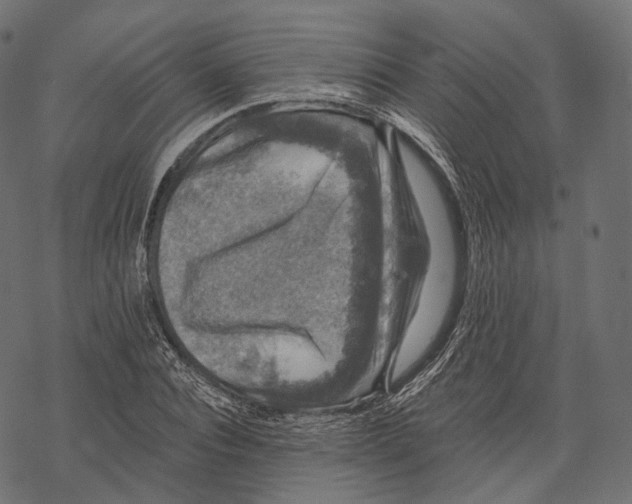 X0000067900928200605041614