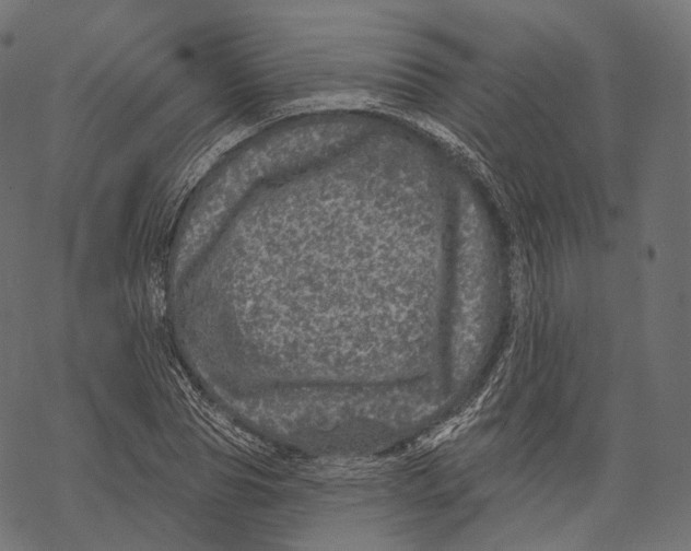 X0000067900929200605041614