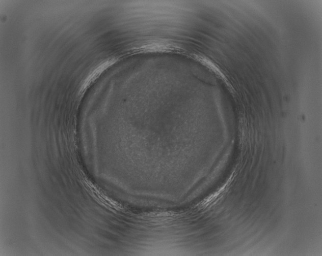 X0000067900930200605041614