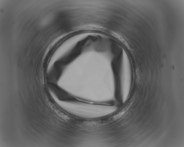 X0000067900931200605041614