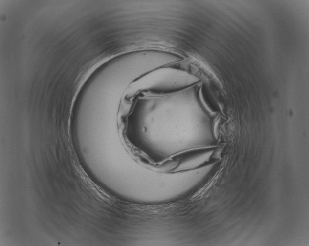 X0000067900932200605041614