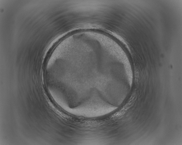 X0000067900935200605041614