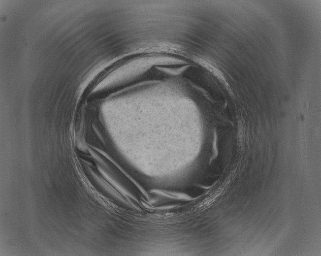 X0000067900936200605041614