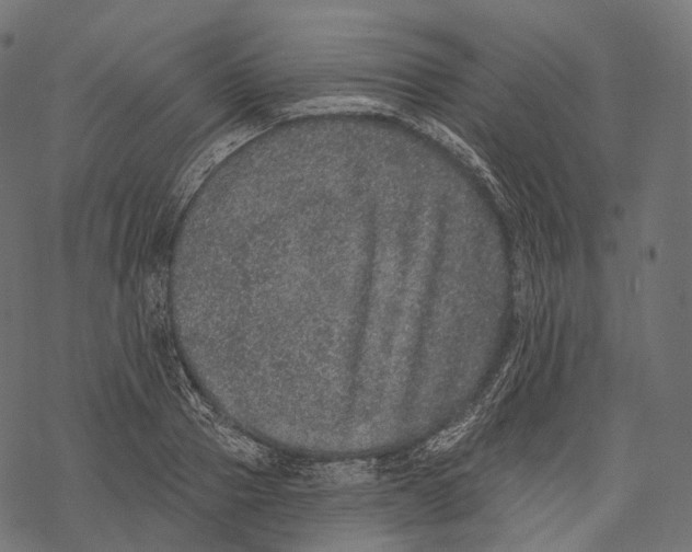 X0000067900937200605041614