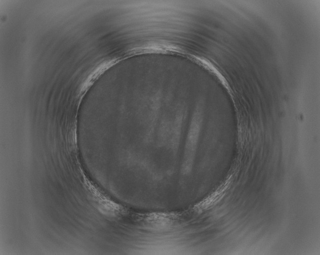 X0000067900938200605041614