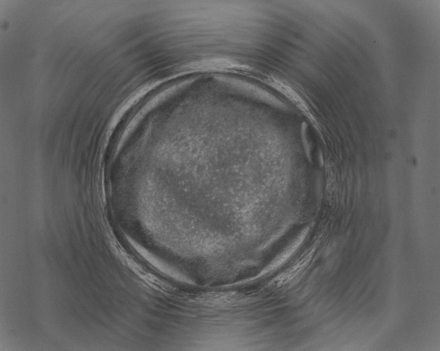 X0000067900939200605041614