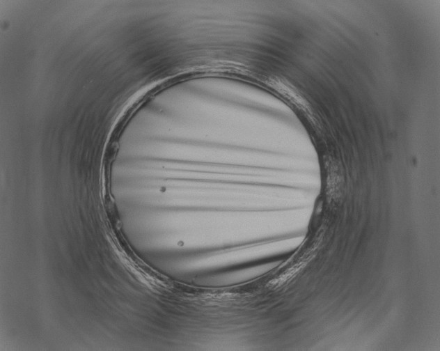 X0000067900940200605041614