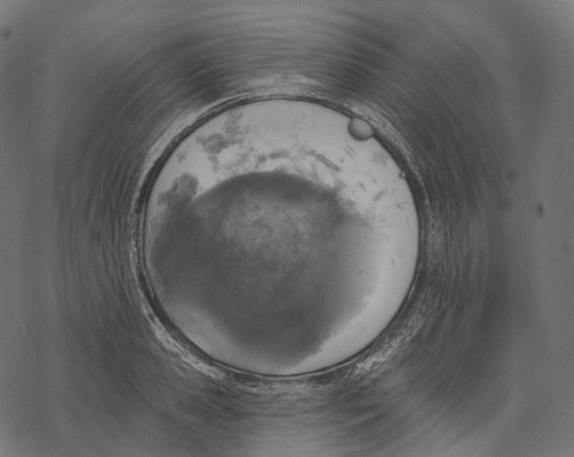 X0000067900941200605041614