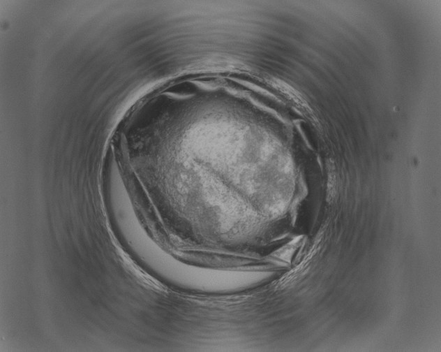 X0000067900942200605041614