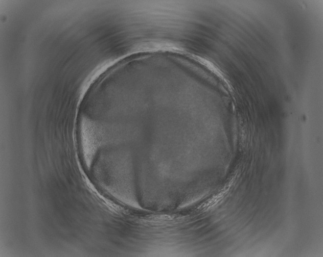 X0000067900943200605041614