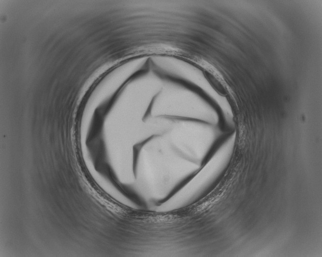 X0000067900947200605041614