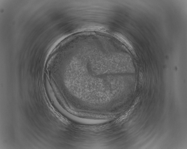 X0000067900948200605041614