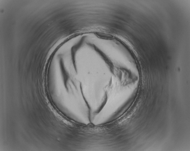 X0000067900949200605041614