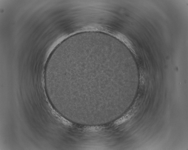 X0000067900950200605041614