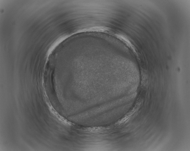 X0000067900952200605041614