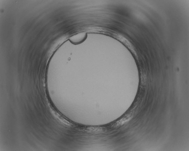 X0000067900954200605041614