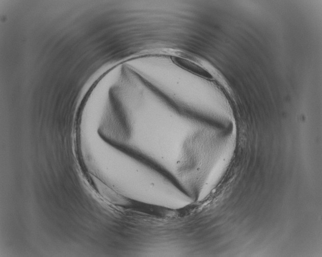 X0000067900955200605041614