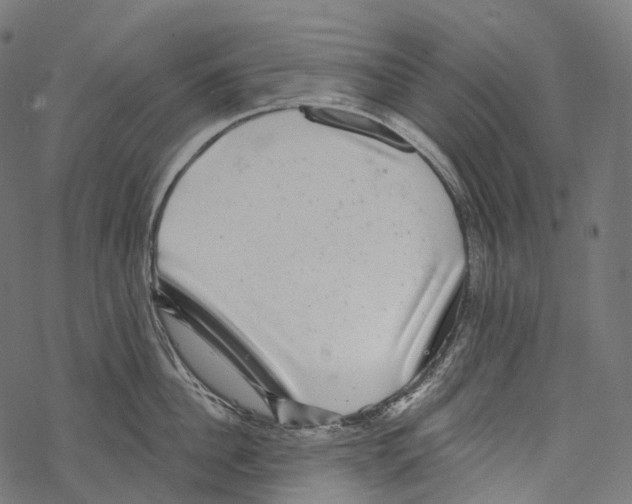 X0000067900956200605041614