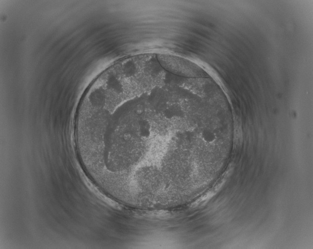 X0000067900957200605041614