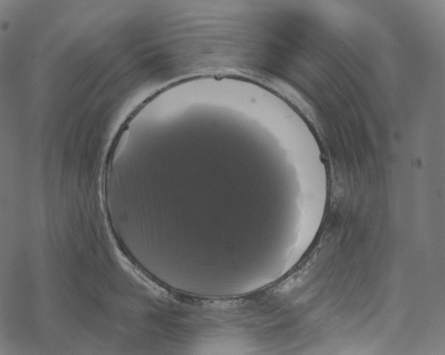 X0000067900958200605041614