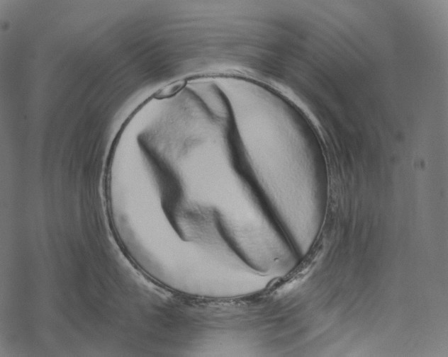 X0000067900959200605041614