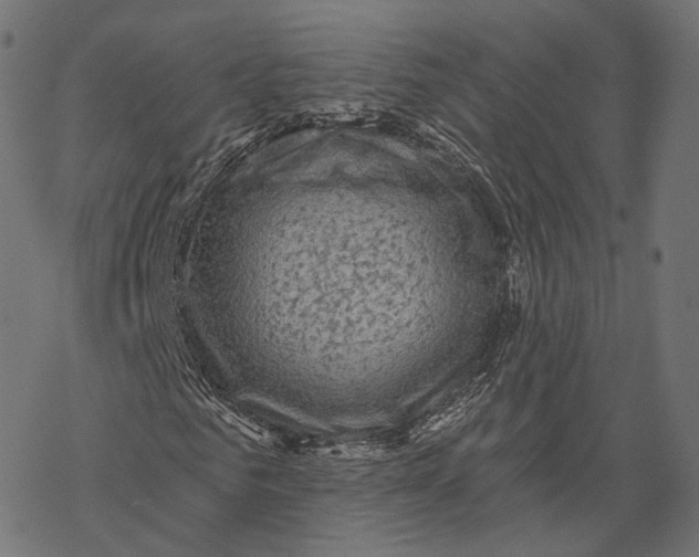 X0000067900961200605041614