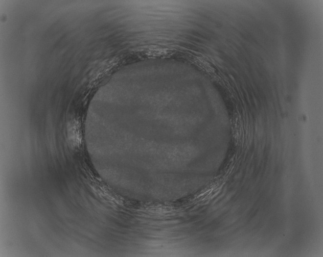 X0000067900962200605041614