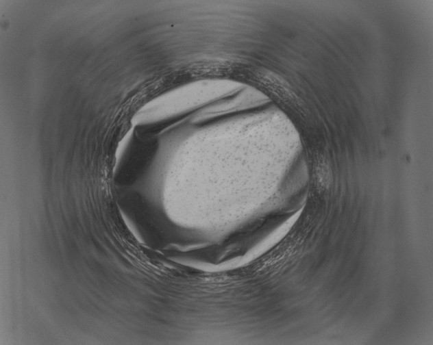 X0000067900964200605041614