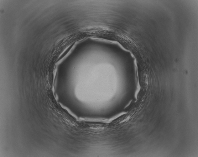 X0000067900965200605041614