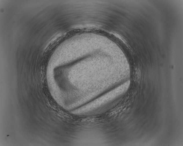 X0000067900967200605041613