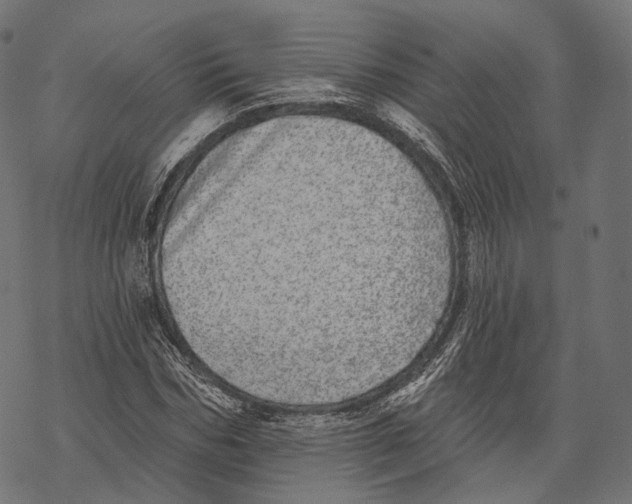 X0000067900970200605041613