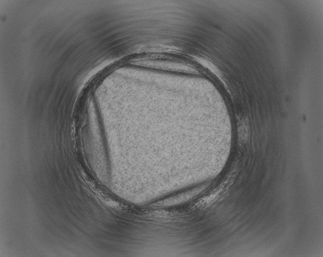 X0000067900971200605041613