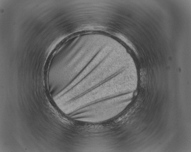 X0000067900972200605041613