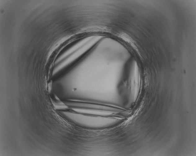 X0000067900973200605041613