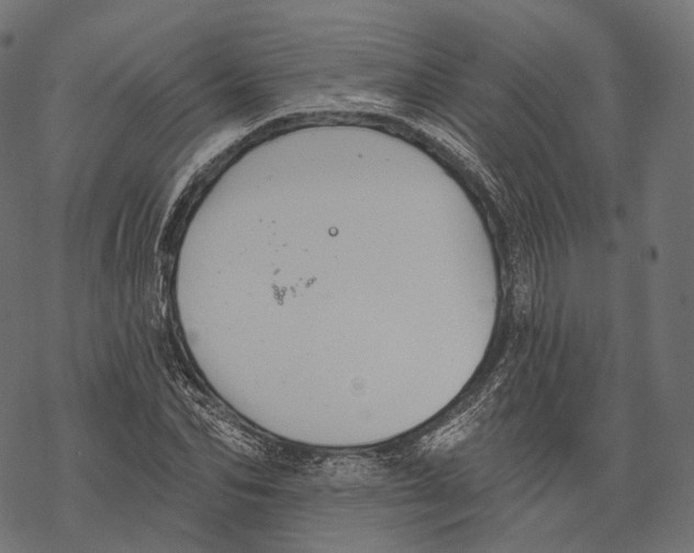 X0000067900974200605041613