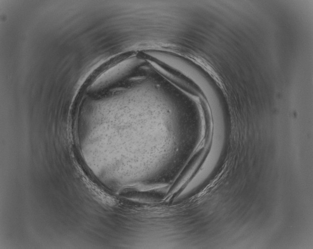 X0000067900976200605041613