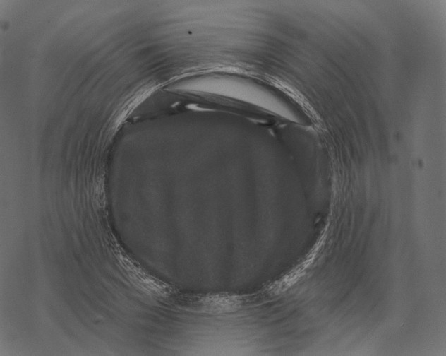 X0000067900977200605041613