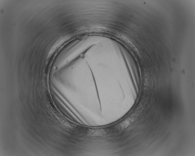 X0000067900978200605041613