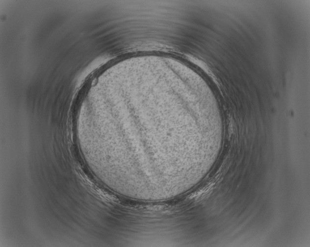 X0000067900979200605041613