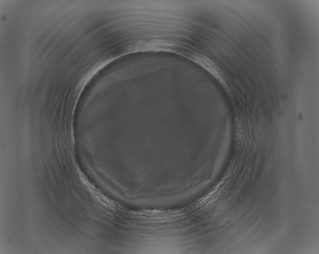 X0000067900980200605041613