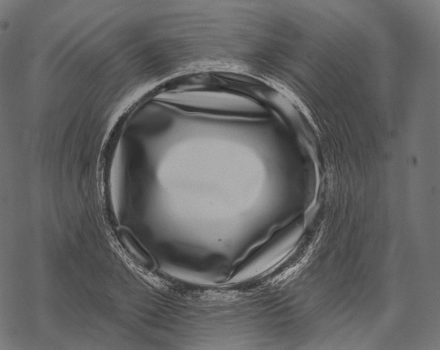 X0000067900981200605041613