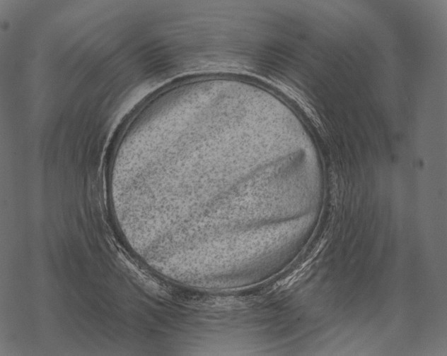 X0000067900982200605041613