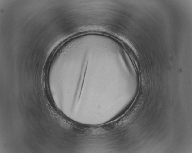 X0000067900983200605041613