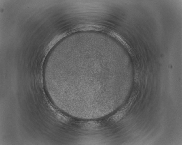 X0000067900986200605041613