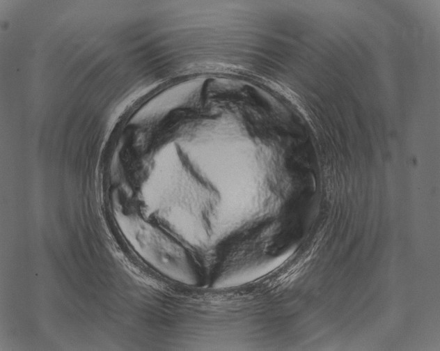 X0000067900987200605041613