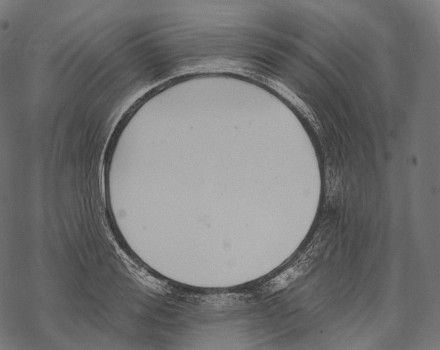 X0000067900988200605041613